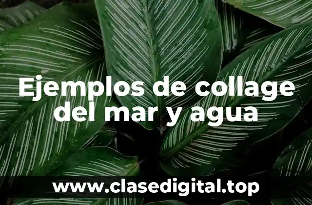 Ejemplos de collage del mar y agua