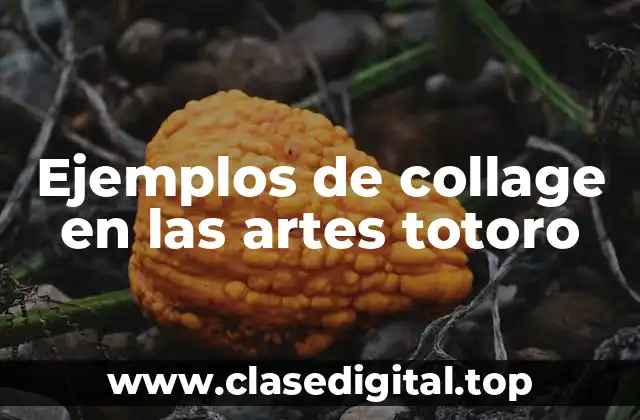 Ejemplos de collage en las artes totoro