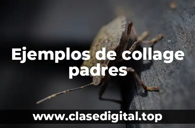 Ejemplos de collage padres