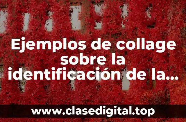 Ejemplos de collage sobre la identificación de la realidad y Significado