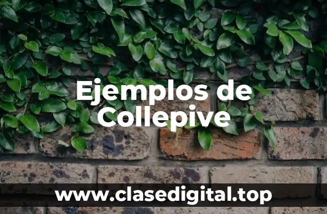 Ejemplos de Collepive