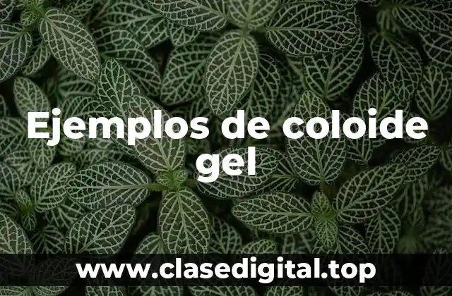 Ejemplos de coloides gel