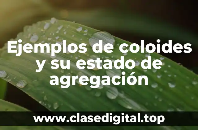 Ejemplos de coloides y su estado de agregación