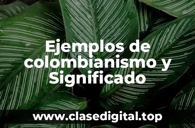 Ejemplos de colombianismo y Significado