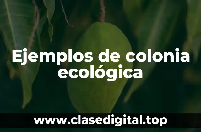 Ejemplos de colonia ecológica