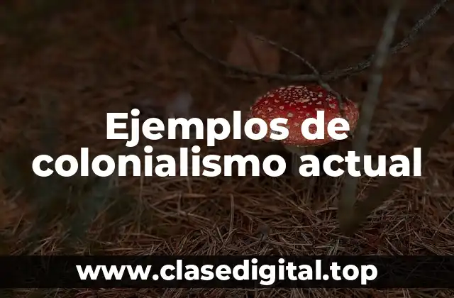 Ejemplos de colonialismo actual