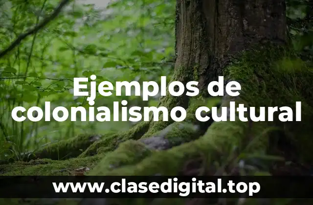 Ejemplos de colonialismo cultural
