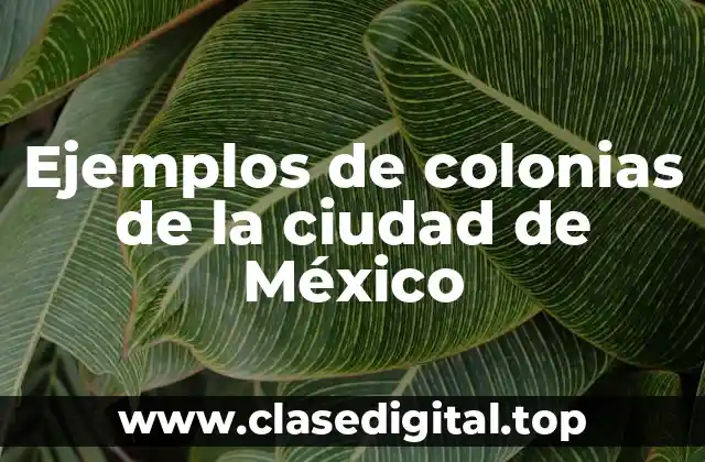 Ejemplos de colonias de la ciudad de México