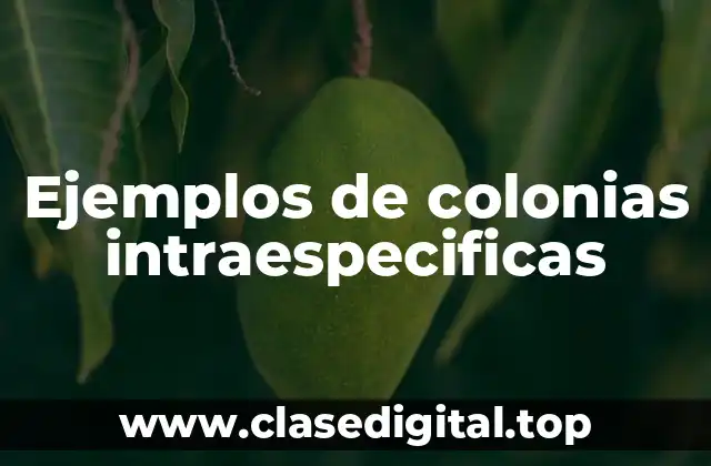 Ejemplos de colonias intraespecificas