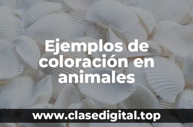 Ejemplos de coloración en animales