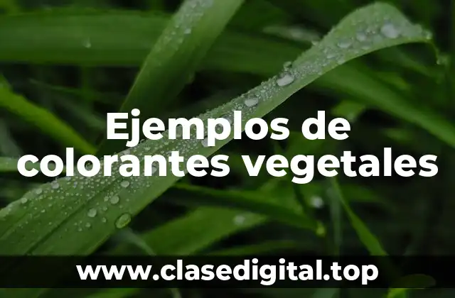 Ejemplos de colorantes vegetales