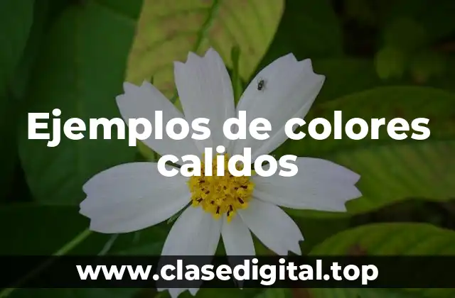 Ejemplos de colores calidos