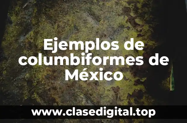 Ejemplos de columbiformes de México