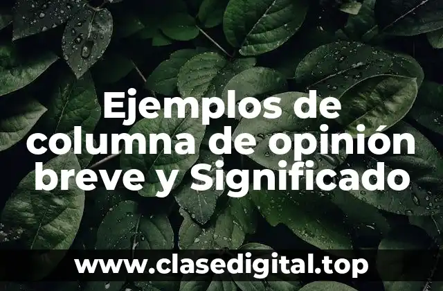 Ejemplos de columna de opinión breve y Significado