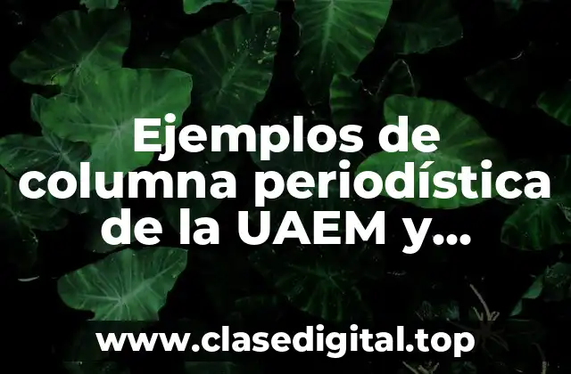Ejemplos de columna periodística de la UAEM y Significado