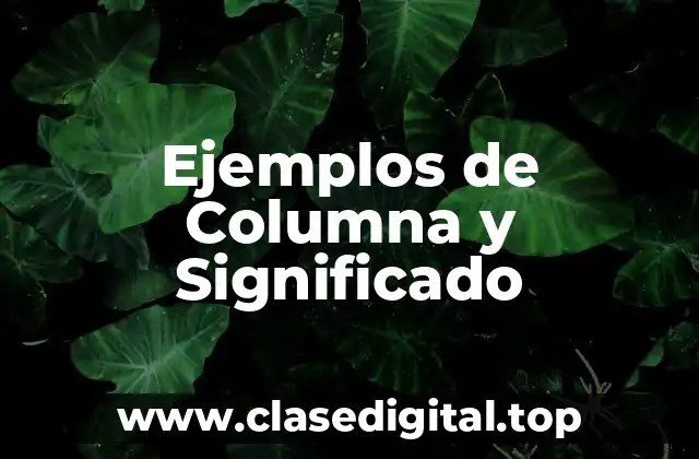 Ejemplos de Columna