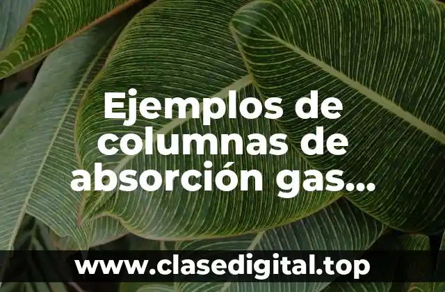 Ejemplos de columnas de absorción gas líquido