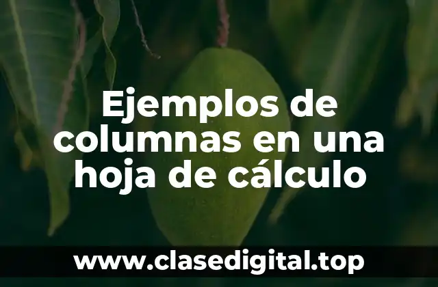 Ejemplos de columnas en una hoja de cálculo