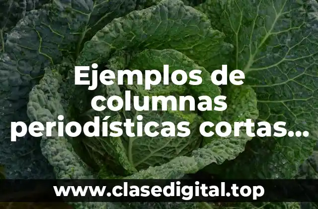 Ejemplos de columnas periodísticas cortas y Significado