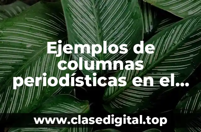 Ejemplos de columnas periodísticas en el periódico