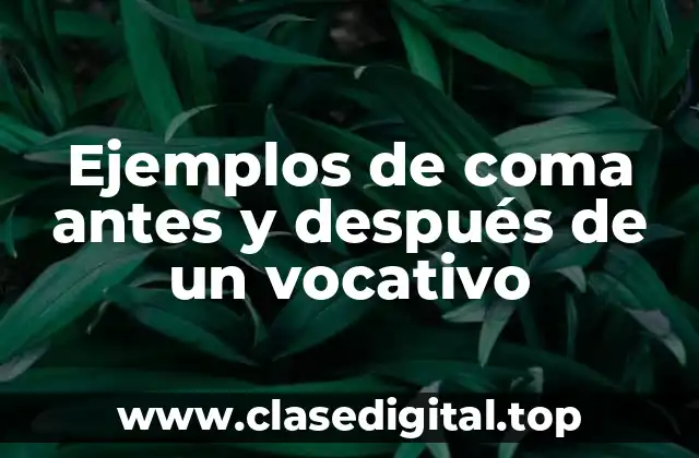 Ejemplos de coma antes y después de un vocativo