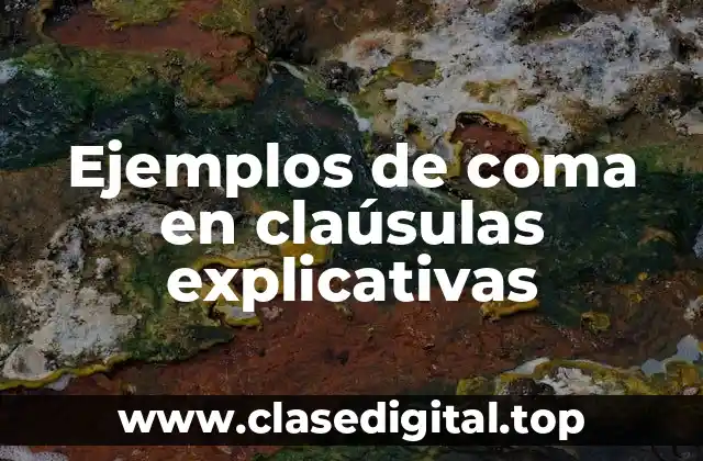 Ejemplos de coma en claúsulas explicativas