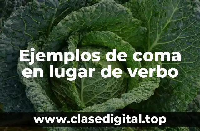 Ejemplos de coma en lugar de verbo