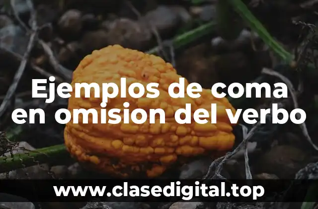 Ejemplos de coma en omision del verbo