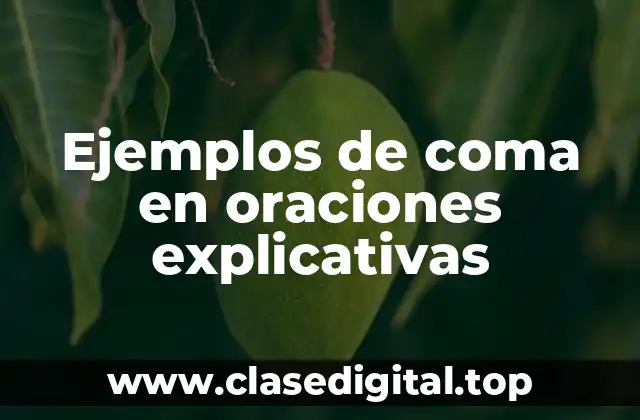 Ejemplos de coma en oraciones explicativas