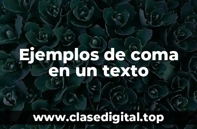 Ejemplos de coma en un texto