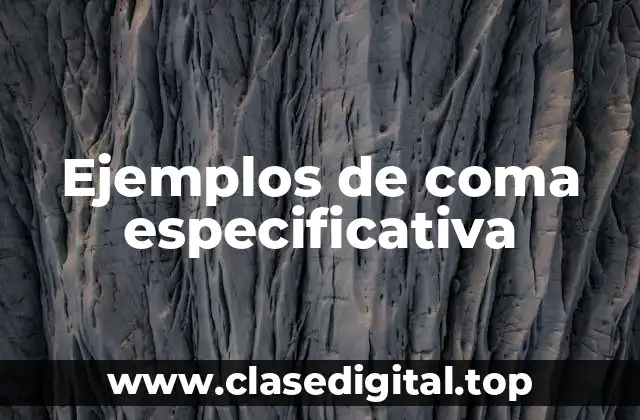 Ejemplos de coma especificativa