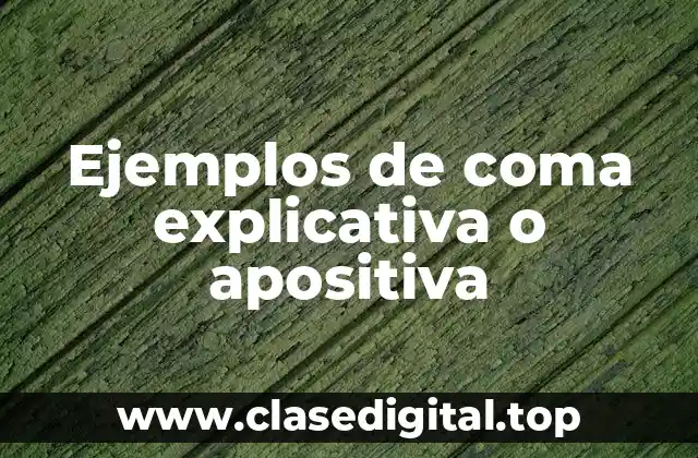 Ejemplos de coma explicativa o apositiva