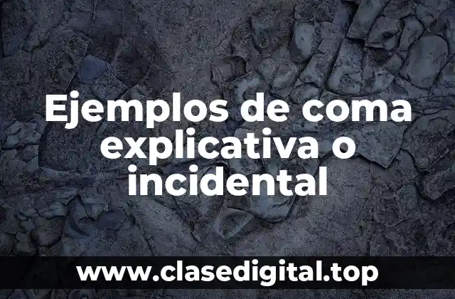 Ejemplos de coma explicativa o incidental