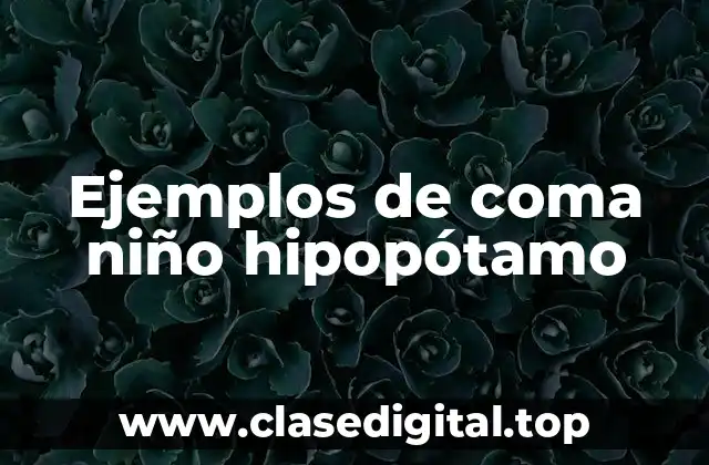 Ejemplos de coma niño hipopótamo