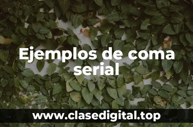 Ejemplos de coma serial