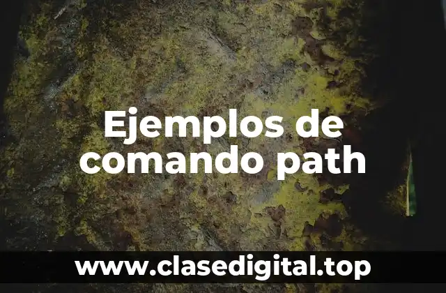 Ejemplos de comando path