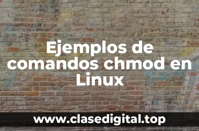 Ejemplos de comandos chmod en Linux