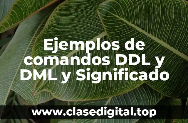 Ejemplos de comandos DDL y DML y Significado