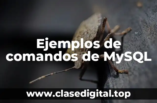 Ejemplos de comandos de MySQL
