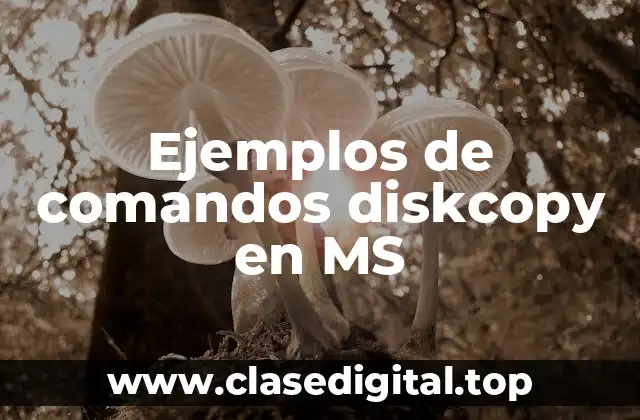 Ejemplos de comandos diskcopy