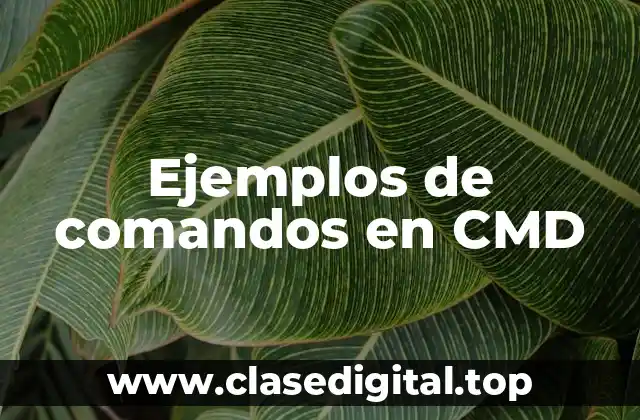 Ejemplos de comandos en CMD