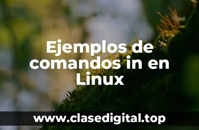 Ejemplos de comandos in en Linux