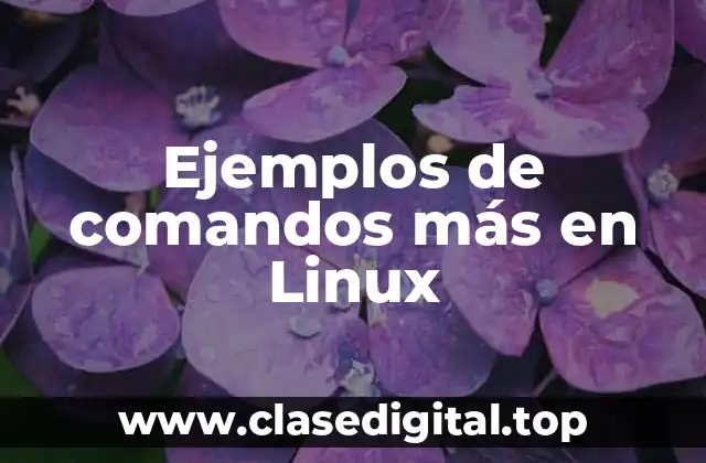 Ejemplos de comandos más en Linux