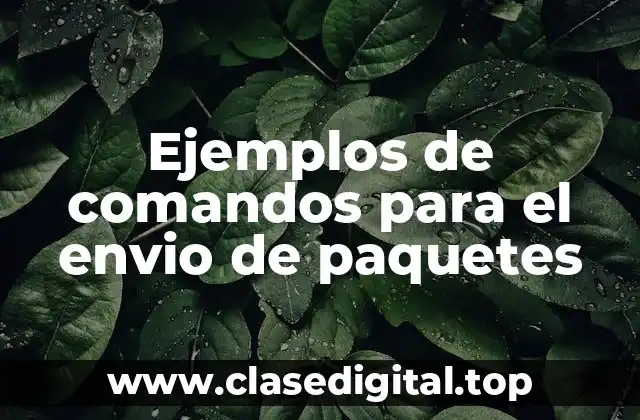 Ejemplos de comandos para el envio de paquetes
