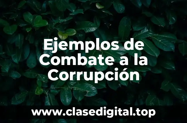 Ejemplos de Combate a la Corrupción
