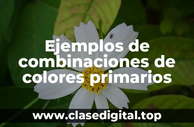 Ejemplos de combinaciones de colores primarios