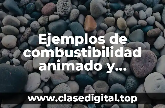 Ejemplos de combustibilidad animado y Significado