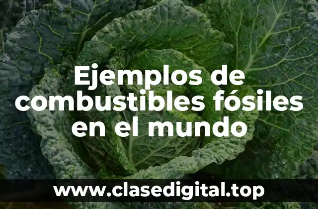 Ejemplos de combustibles fósiles en el mundo
