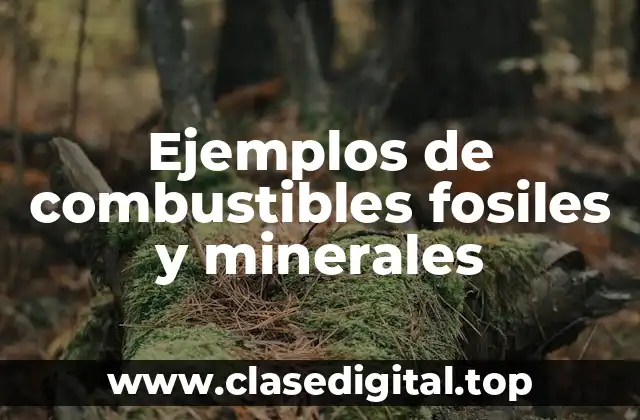 Ejemplos de combustibles fosiles y minerales
