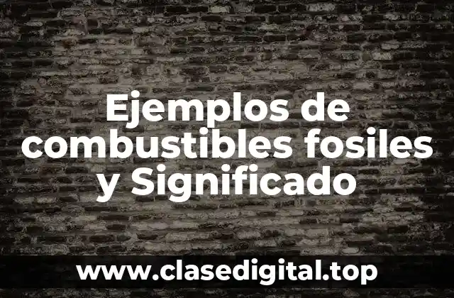 Ejemplos de combustibles fosiles y Significado